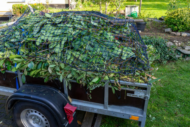 Best Property Management Cleanouts  in Stevenson, WA